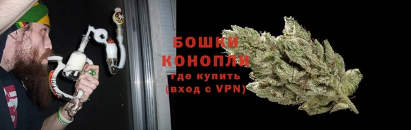 ГАЛЛЮЦИНОГЕННЫЕ ГРИБЫ Медногорск