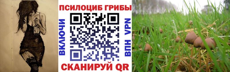 Галлюциногенные грибы ЛСД  omg зеркало  Старая Русса 