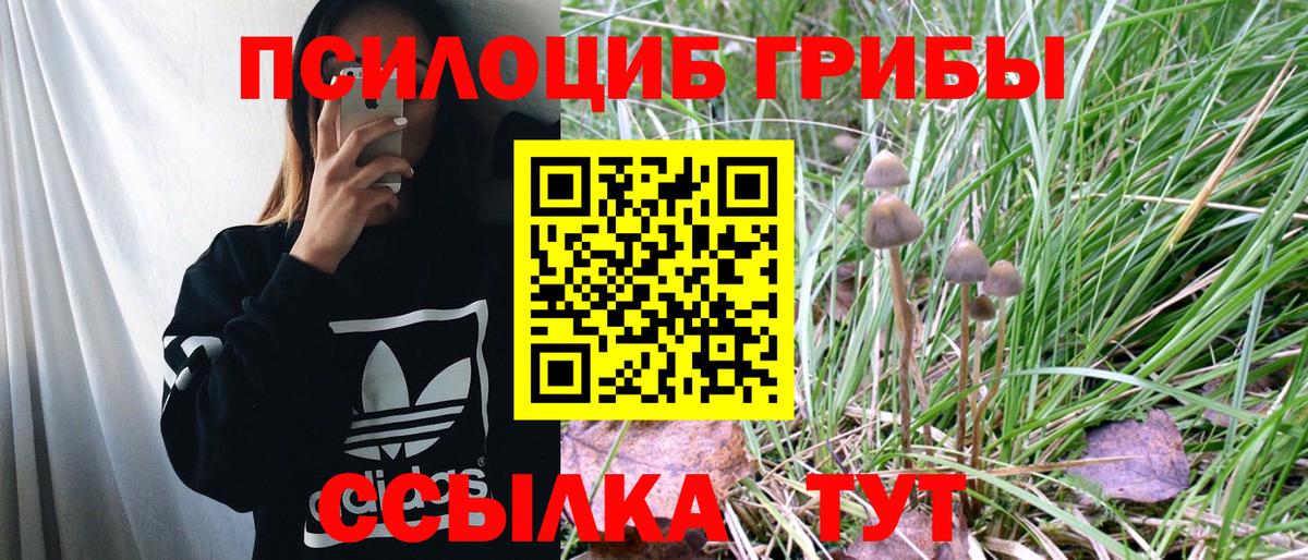 Старая Русса  Галлюциногенные грибы Psilocybe  Вход с VPN 