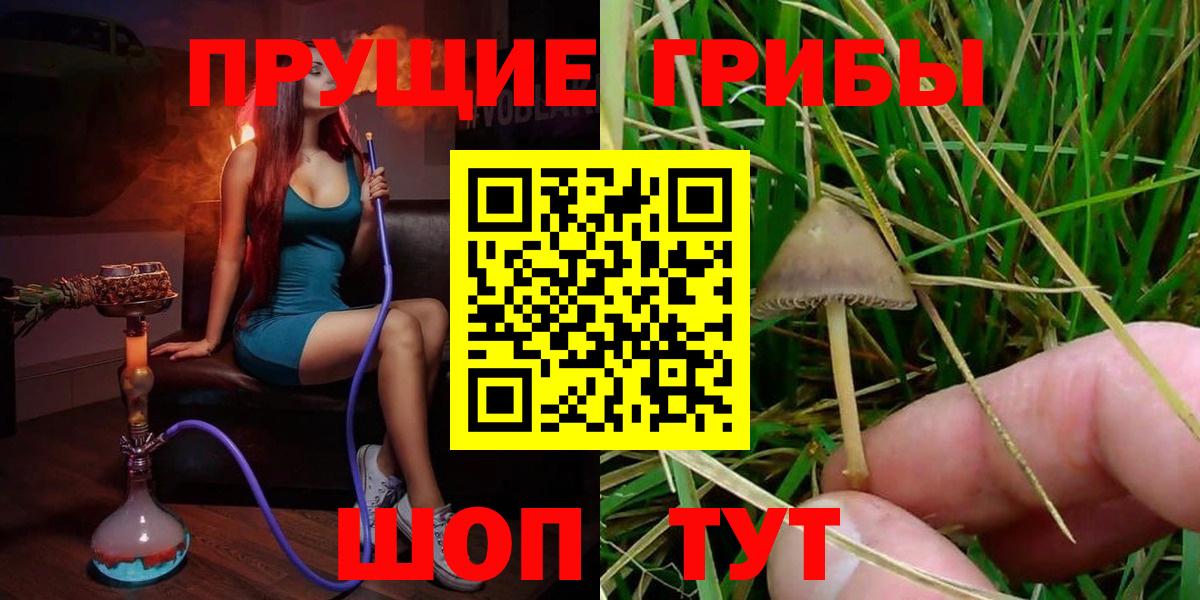 Где купить наркотики?  Гашиш  Вход с VPN  Alpha PVP СОЛЬ   МЕФ  Метадон  Конопля  Старая Русса  Меф МЯУ МЯУ  